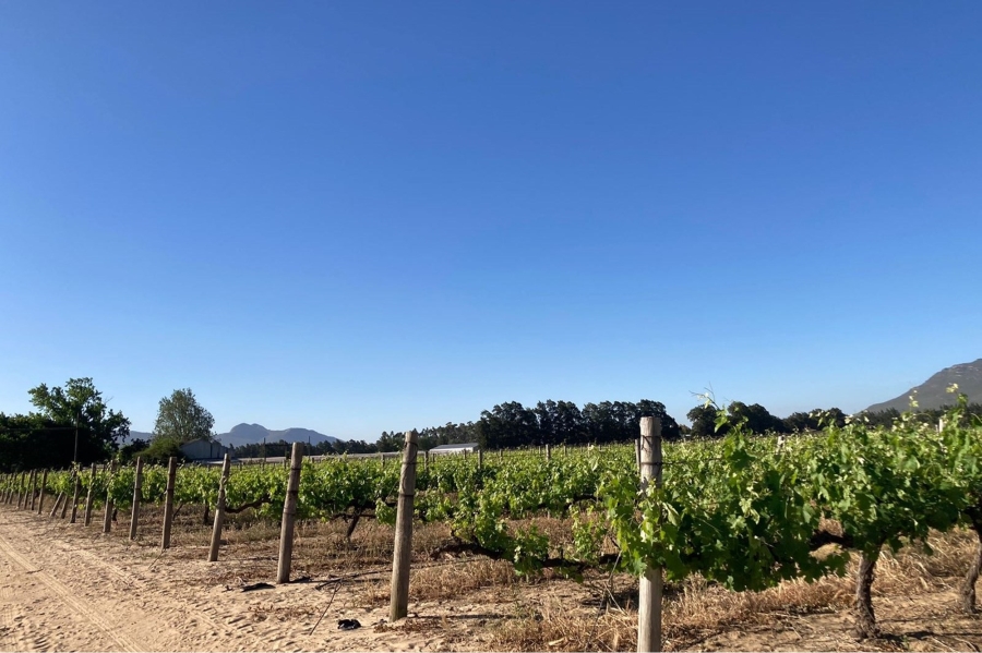 0 Bedroom Property for Sale in Paarl South Western Cape